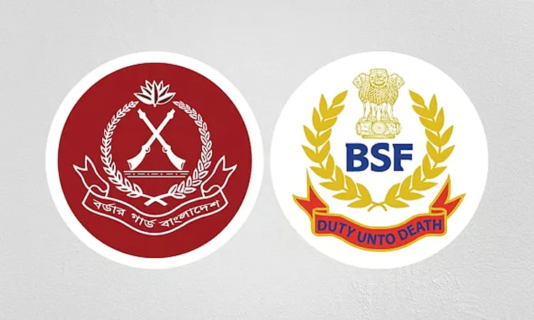 BGB and BSF official logo