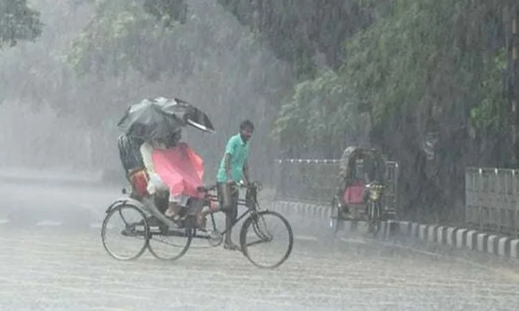 Storm Warning Issued for Four Districts, Winds Up to 60 km/h
