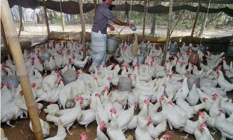 Paikgachha Poultry Farm Dispute Complainant Threatened