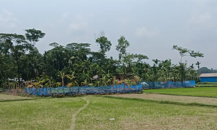 Lakshmipur Land Dispute: Status Quo Violation Alleged