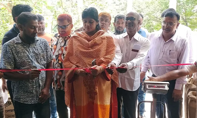 Govt Launches Direct Boro Paddy Collection in Lohagara