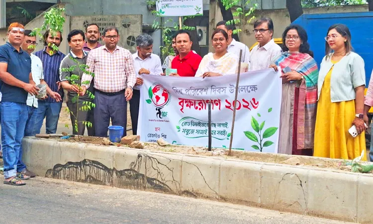 Plant trees on road dividers