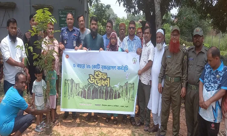 Tree Plantation Program Launched in Porsha, Naogaon
