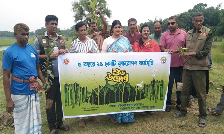 Tree Plantation Program Inaugurated in Lohagara, Narail