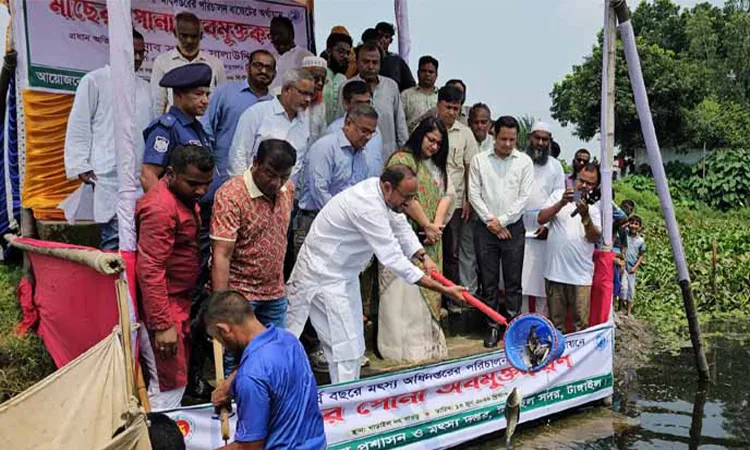 Fish Fry Released in 8 Tangail Water Bodies to Boost Native Species