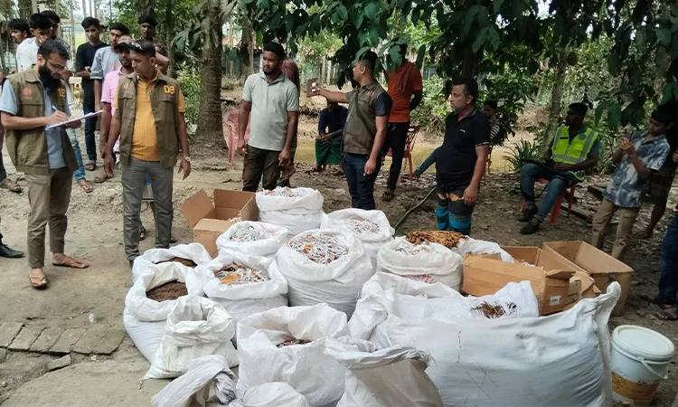 3 Sued Over Fake Derby Cigarettes Seizure in Morelganj