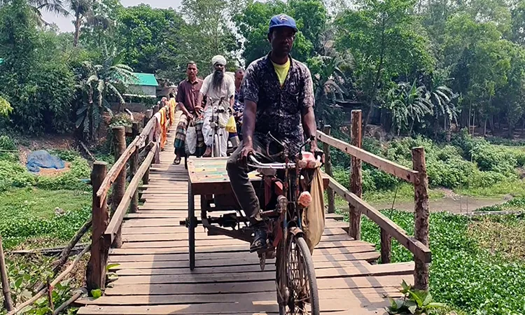 Tangail Villages Risk Lives on Rotting Wooden Bridge