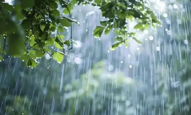 Bangladesh Weather: 5-Day Rain Forecast Across Country