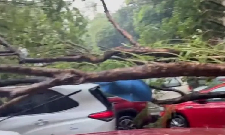 13 Dead as Severe Storms and Lightning Hit West Bengal