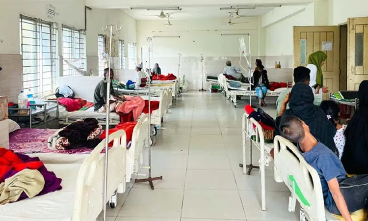 Lama Diarrhea Outbreak: Remote Mro Village Affected