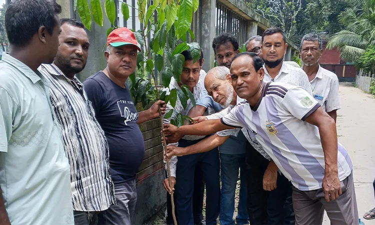 Kaliganj UP Candidate Plants Trees on Abandoned Land