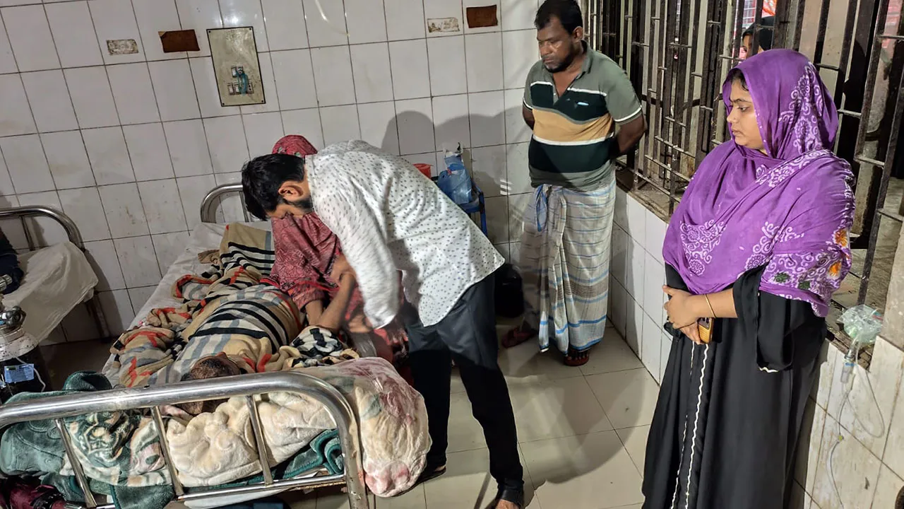 One dead, brother injured in electrocution while cutting betel nut tree in Bhola