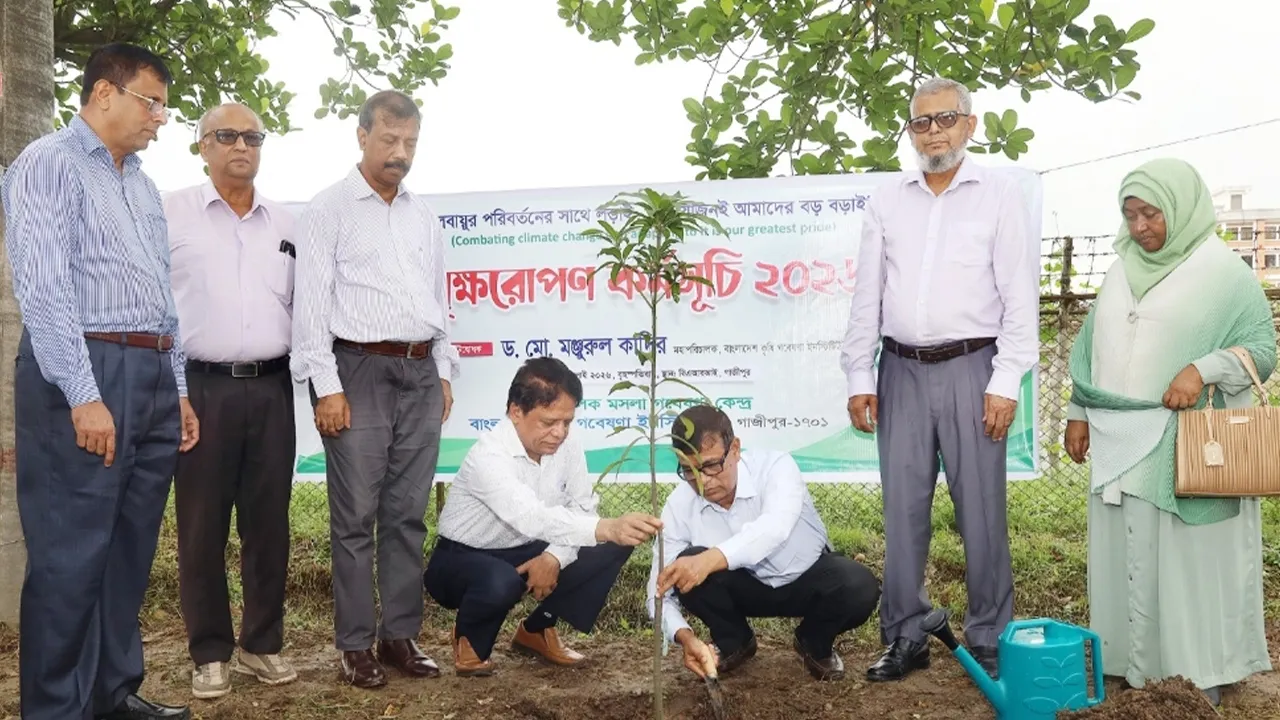 BARI DG: Tree Planting to Boost Crop Yields by 20-40%