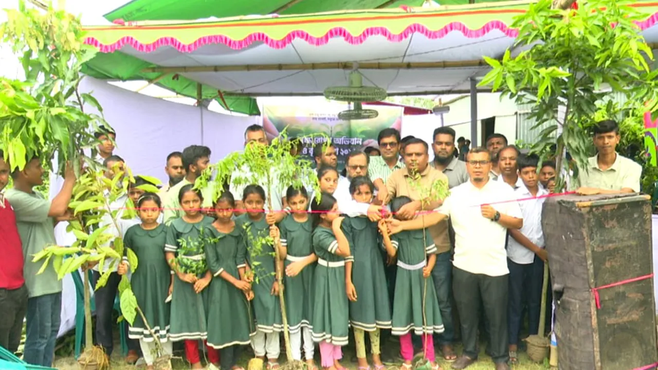 Pabna Tree Fair 10,000 Saplings to Be Planted in Bera