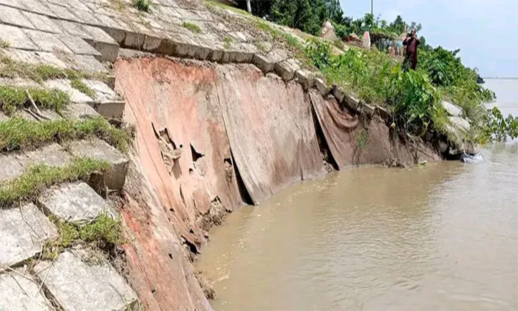 Fresh landslides and cracks in Kurigram's Brahmaputra right bank protection embankmen.