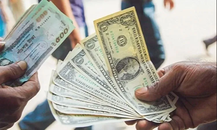 Forex Reserves Hold Above $31B After ACU Payment Amid Remittance Surge