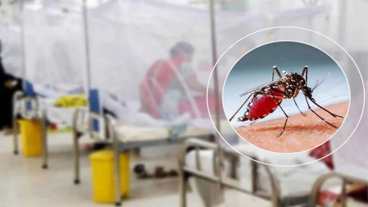 Dengue Death Toll Rises to 24 in Bangladesh; 190 New Hospitalizations Recorded