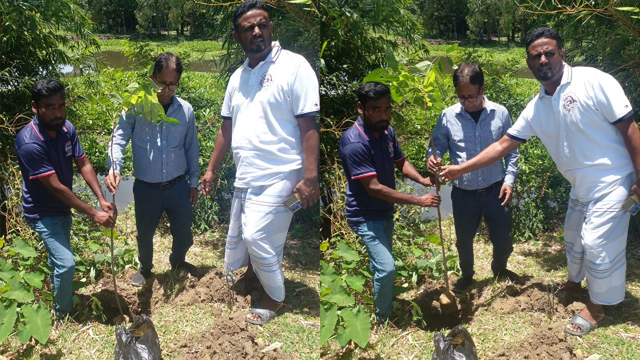 LGED Plants 400 Trees on Shantiganj Road for Green Drive
