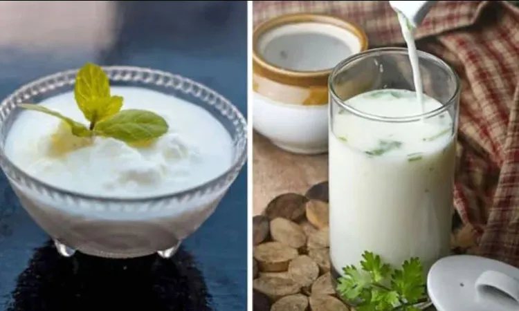 Milk vs. Yogurt: Which is Better for Your Health?
