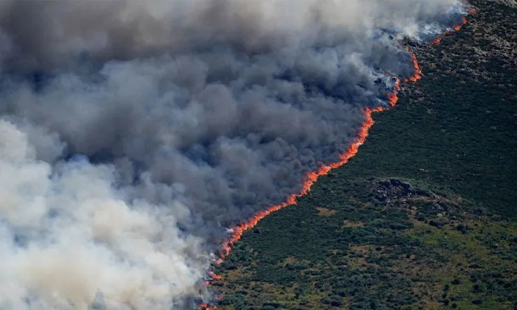 A view of a wildfire spreading over the Burgohondo mountains, in Avila, Spain 23 July, 2026