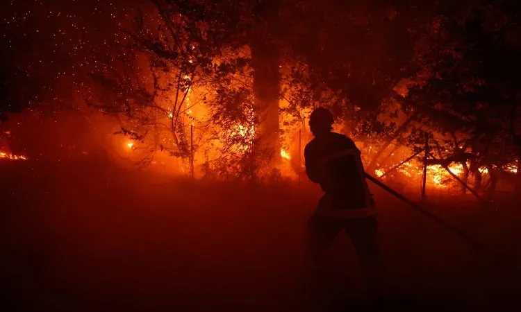 Wildfires Devastate Southern Europe, Evacuations Soar