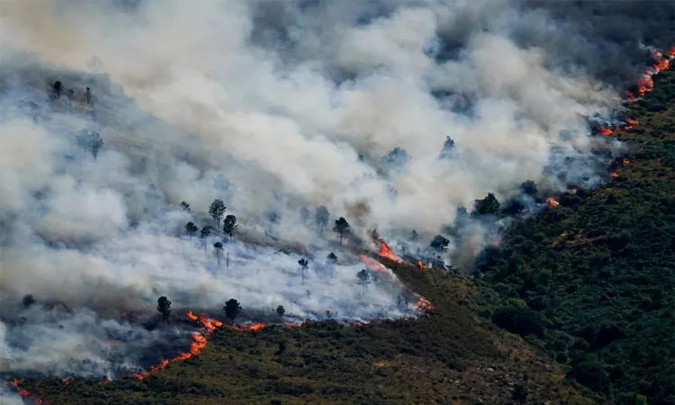A view of a wildfire spreading over the Burgohondo mountains in Avila, Spain: Photo collected