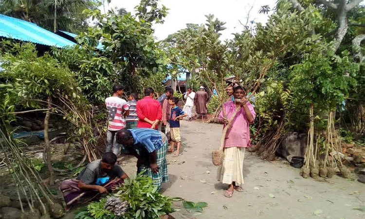 Gadaipur Union in Khulna's Paikgachha has become a major national nursery hub.