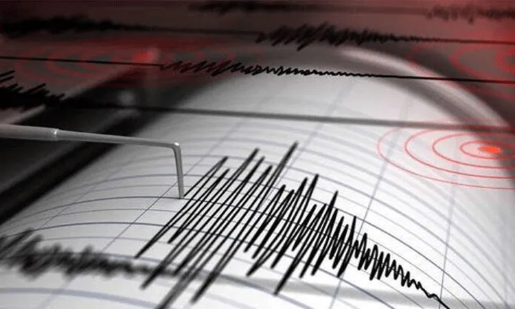 Magnitude 4.6 Earthquake Strikes Iran