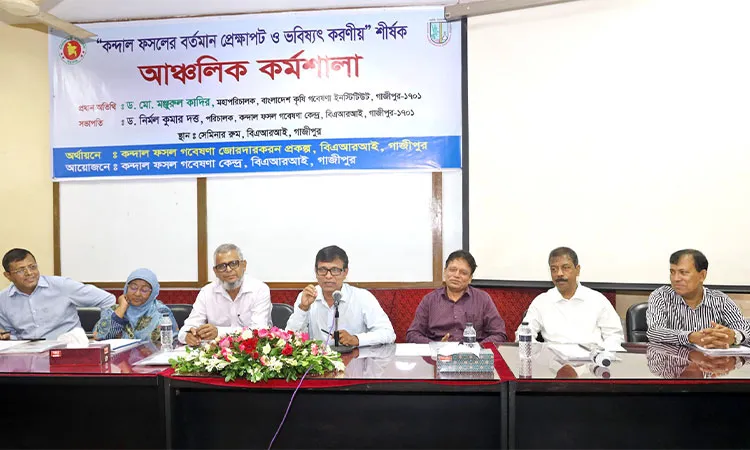 BARI Hosts Workshop on Tuber Crops & Future Directions