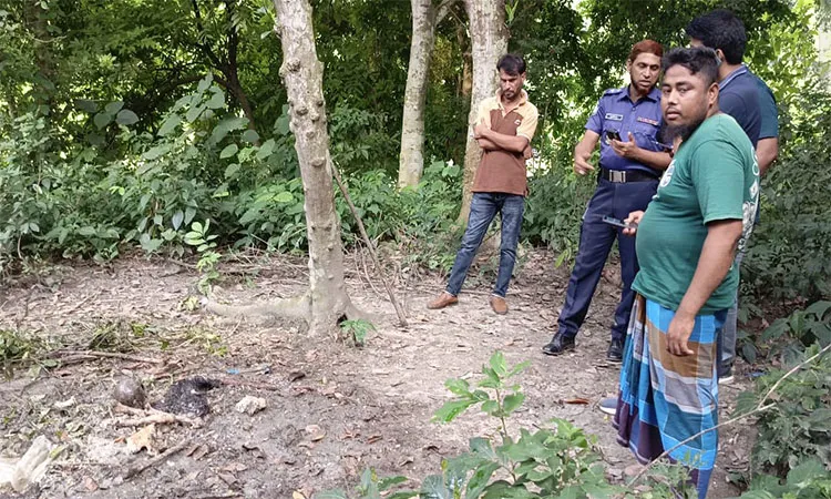 Police have recovered a woman's skeleton hidden in a sack in Sreepur Karmakarpara.