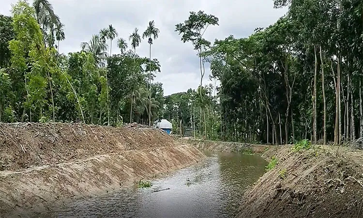 A Tk 1.25 crore canal re-excavation project in Jhalakathi’s Rajapur upazila has restored vital water flows.