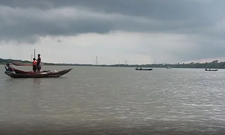 Severe Hilsa Shortage Hits Jhalakathi Rivers in Peak Season