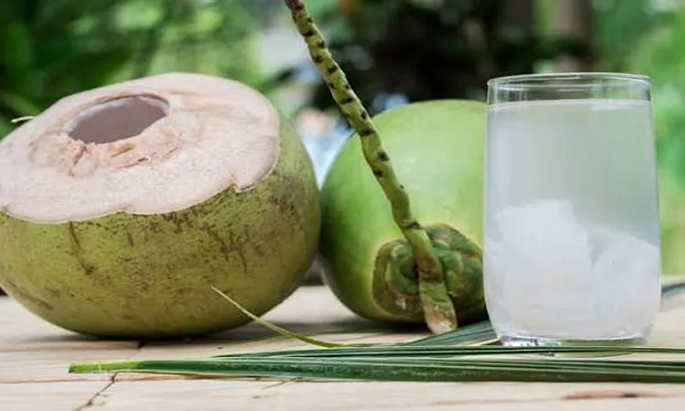Fresh coconut water consists of 95% water and is rich in electrolytes.