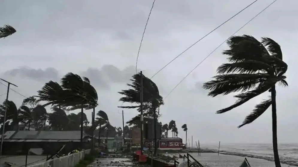 Heavy Rain and Gusty Winds Forecast for Dhaka and 9 Other Regions by 1 AM