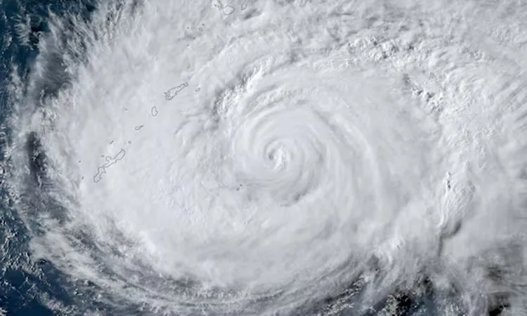 Typhoon Dolphin