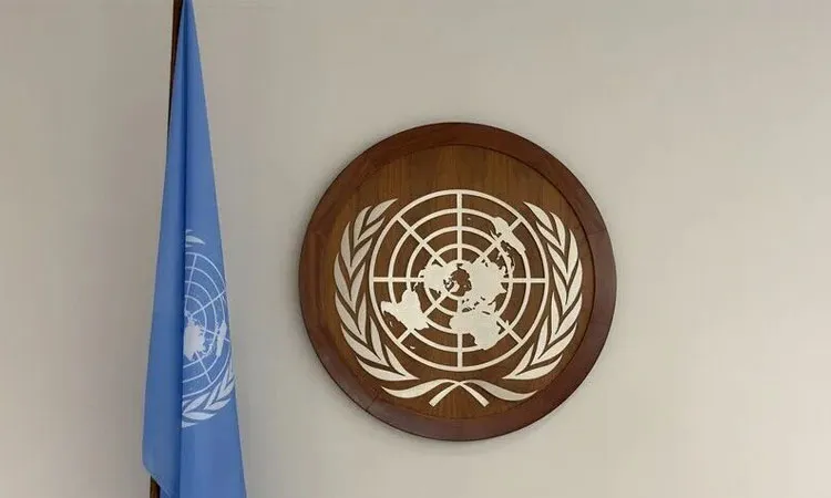 UN Security Council