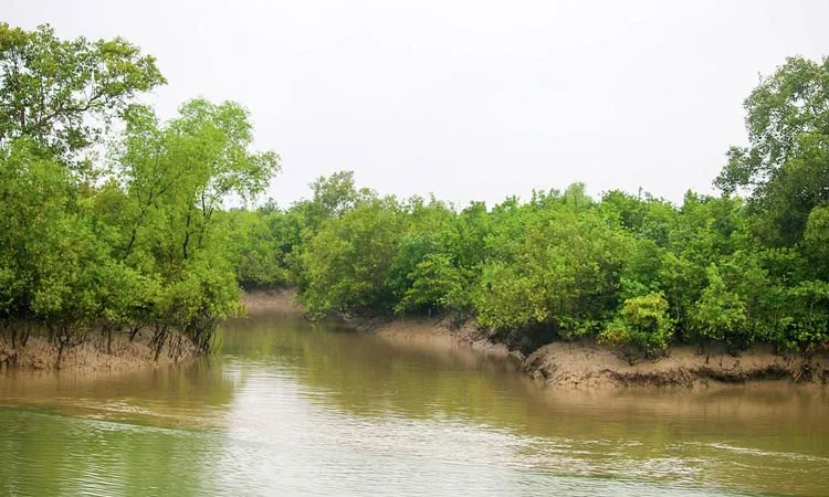 The Sundarbans reopens today after a three-month breeding ban.