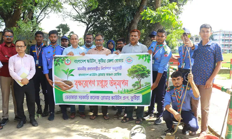 The Rover Scout Group at Bheramara Government College in Kushtia organized a tree-planting campaign.