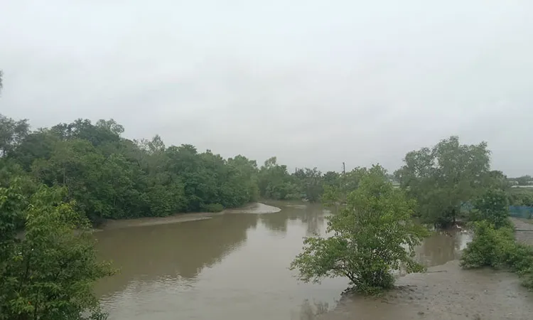 A court has issued a status quo order to keep the Betangi River, Gaysa Canal and Poda River.