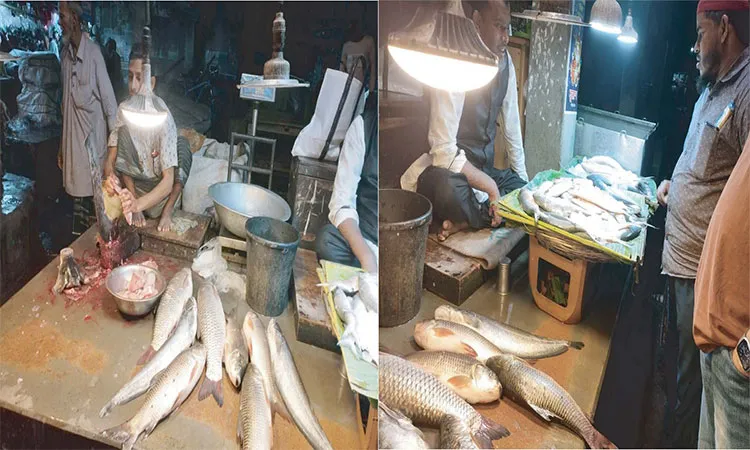 Hilsa and other fish prices have surged in Syedpur, Nilphamari.