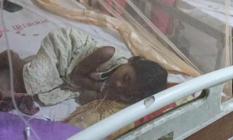 Bangladesh recorded its highest single-day dengue death toll this year on Tuesday.