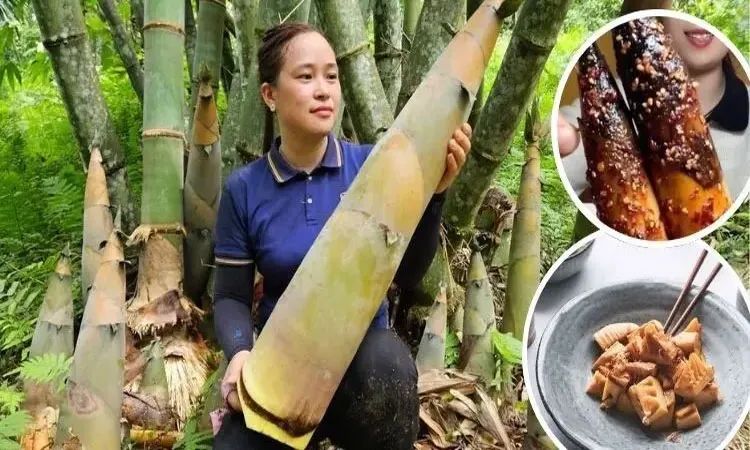 The Culinary Journey of Bamboo Shoots in Countries