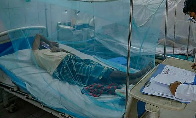 Dengue Death Toll Reaches 211 as September Deaths Surge