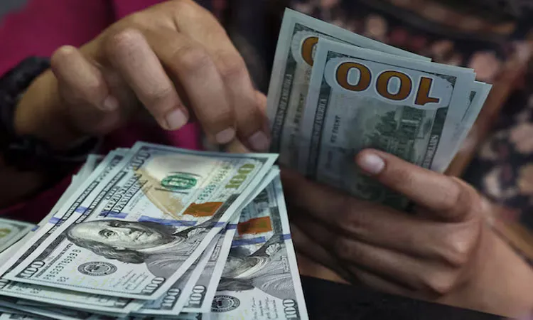 U.S. dollar bank notes