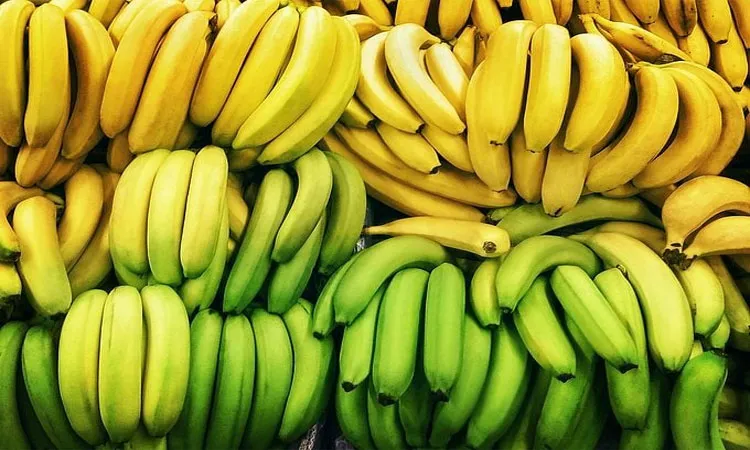 Banana