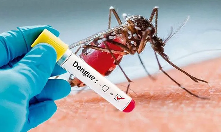Dengue Claims 5 More Lives, 1,898 Hospitalized in 24 Hours
