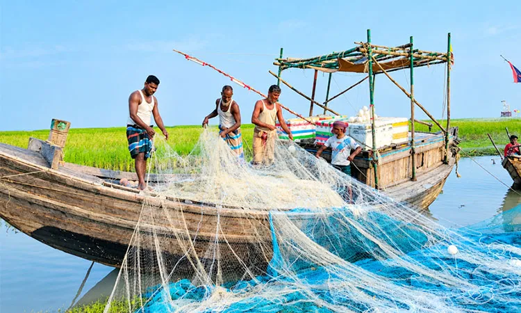 The government imposed a total prohibition on all riverine fishing across the Meghna and Tetulia sanctuaries from October 8 to October 29.