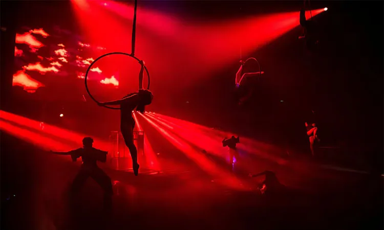 Circus artists take part in a new show marking the 100th anniversary of Harry Houdini's death in Budapest, Hungary.